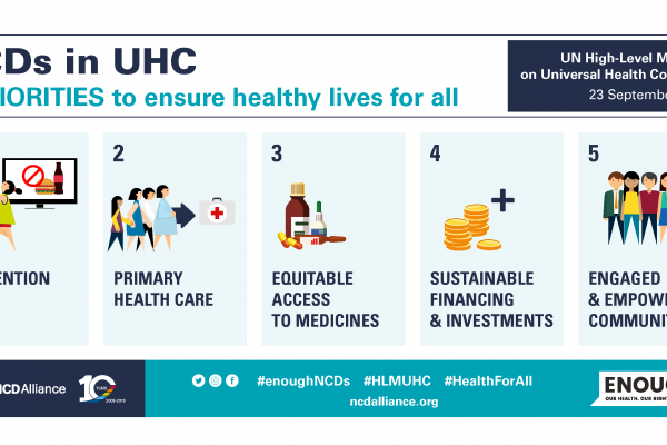 Cobertura Sanitaria Universal: Prioridades de Incidencia 2019